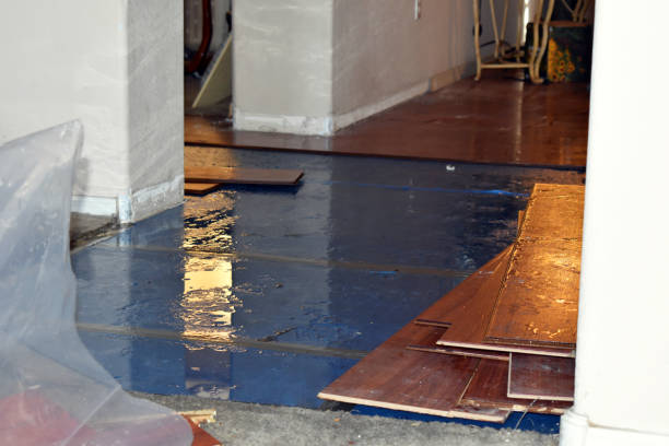 Professional Water Damage Restoration technician working in Mulino, OR