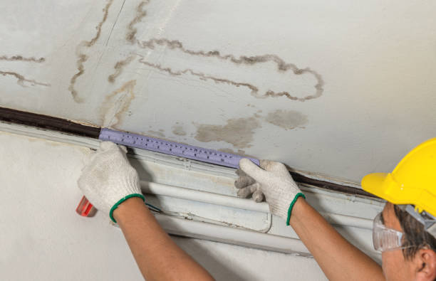 Reliable Water Damage Restoration contractor in Mulino, OR by Water Damage Irwin
